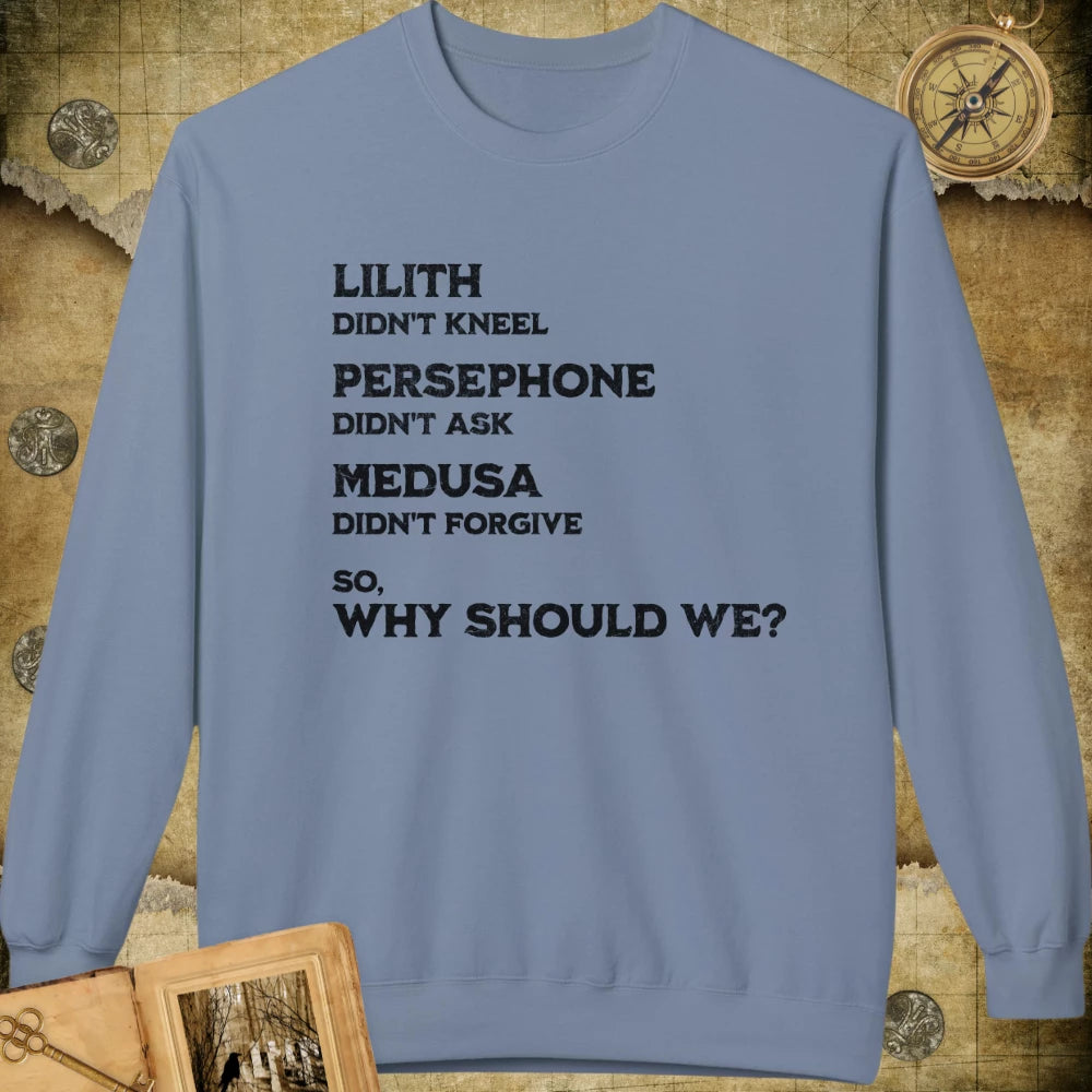 Why Should We Sweatshirt