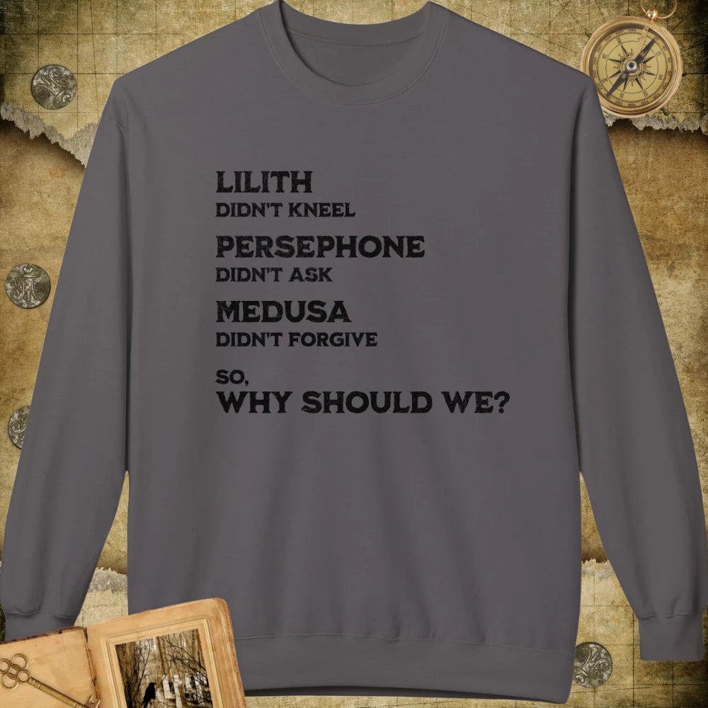 Why Should We Sweatshirt