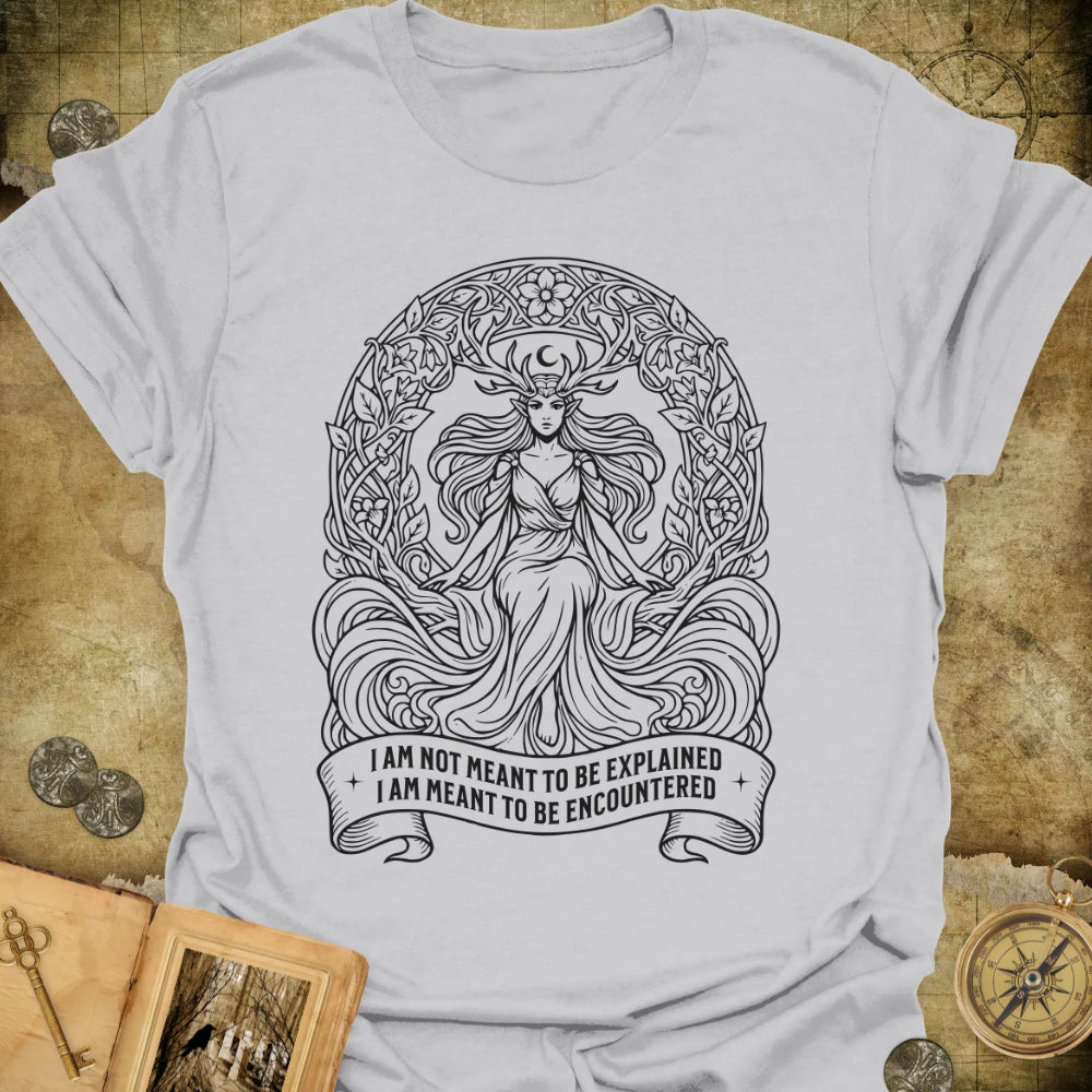 Meant To Be Encountered T-Shirt