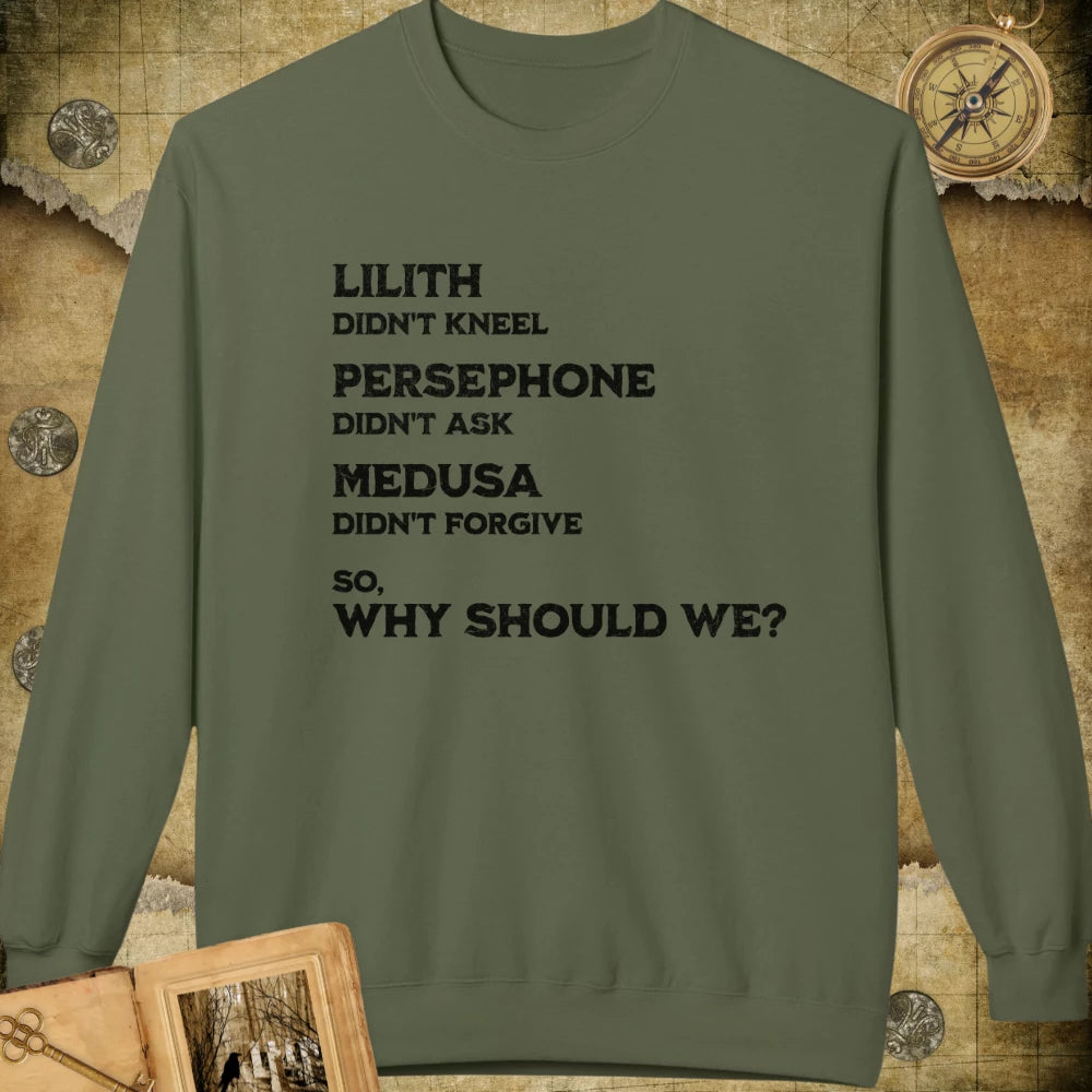 Why Should We Sweatshirt