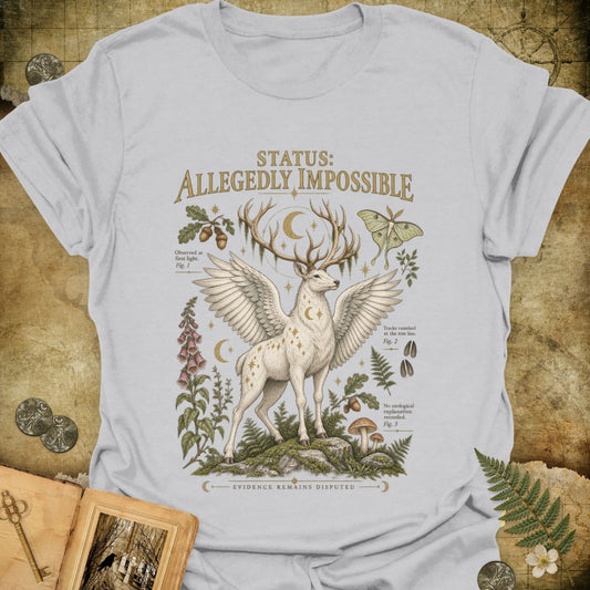 TLWIF Studio | Ice Grey | Allegedly Impossible T-Shirt