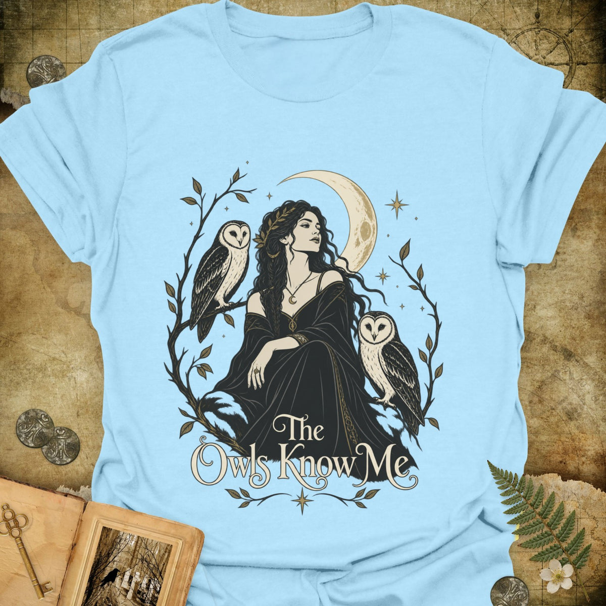 TLWIF Studio | Light Blue | The Owls Know Me T-Shirt
