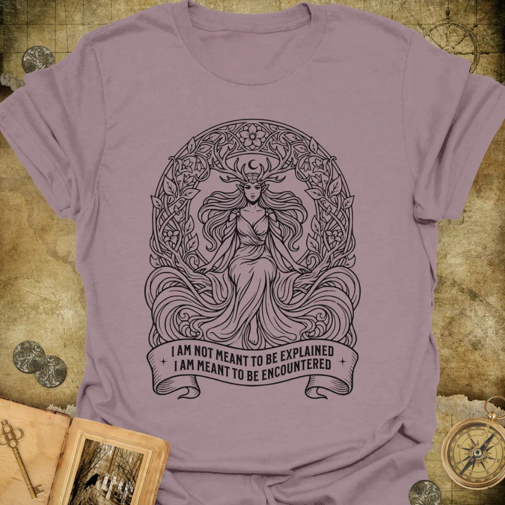 Meant To Be Encountered T-Shirt
