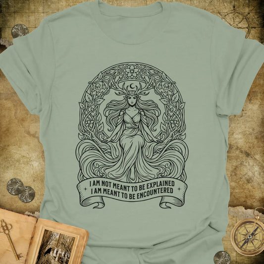 Meant To Be Encountered T-Shirt