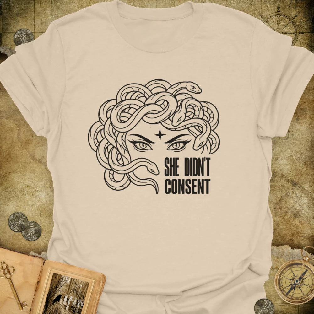 She Didn't Consent T-Shirt