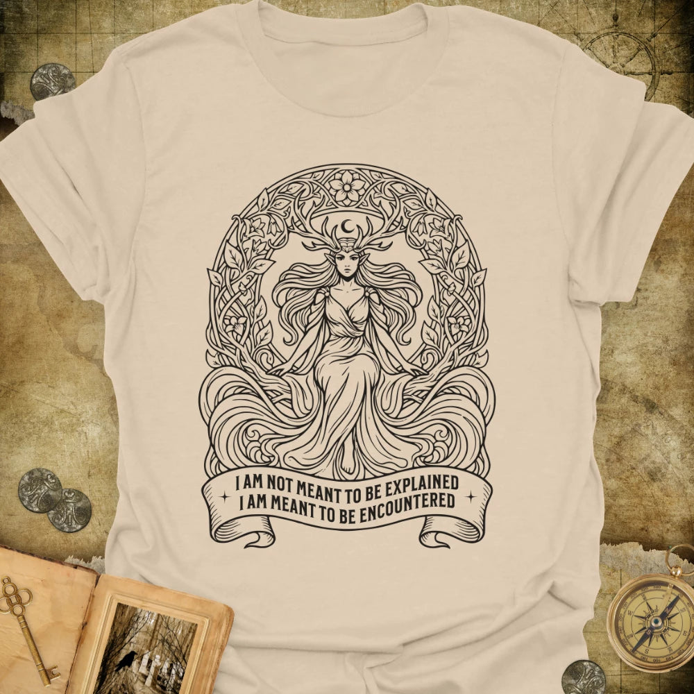 Meant To Be Encountered T-Shirt