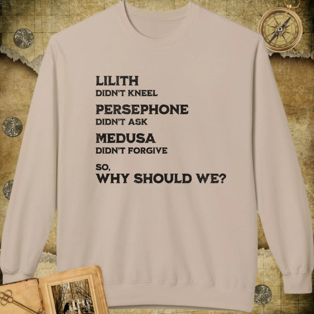 Why Should We Sweatshirt