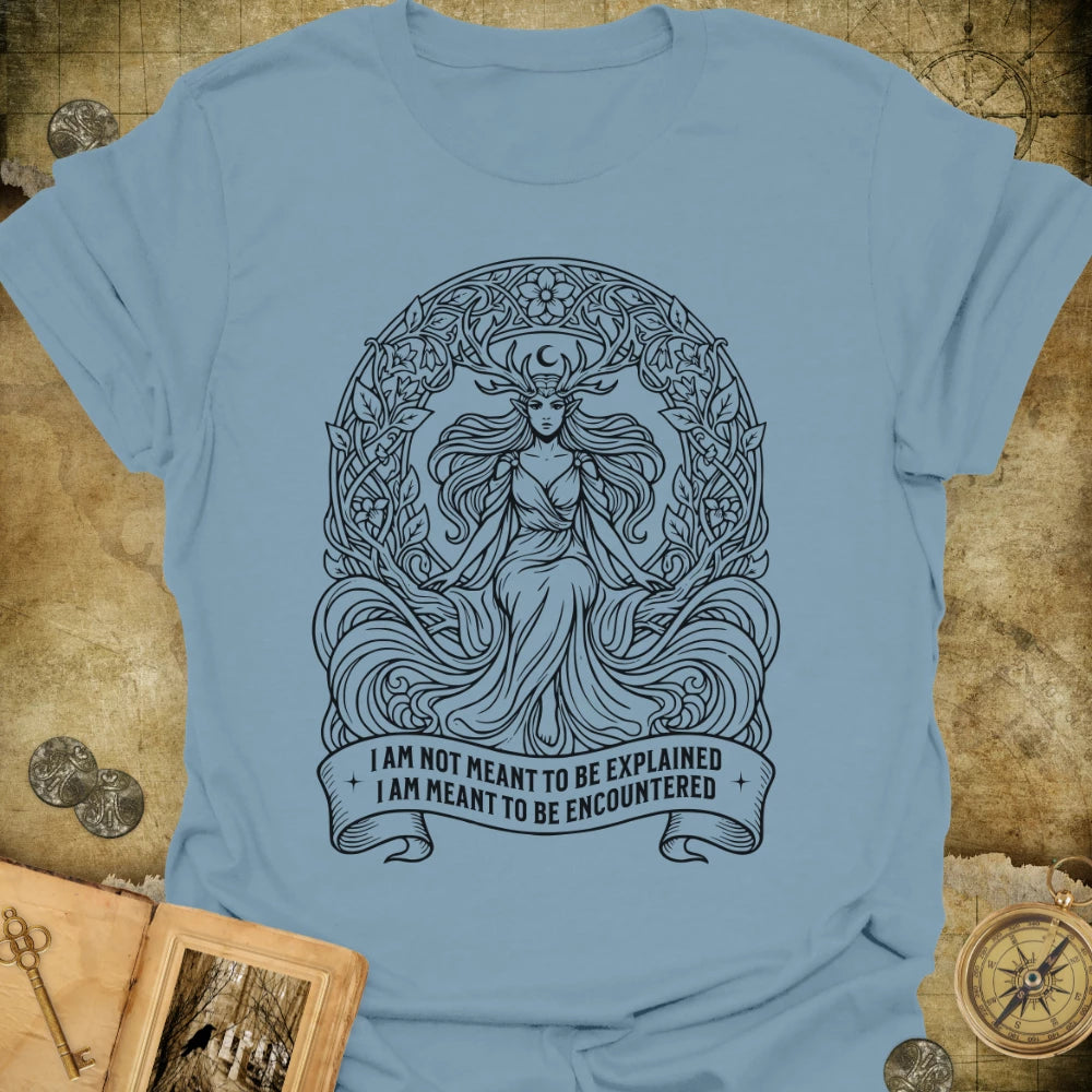 Meant To Be Encountered T-Shirt